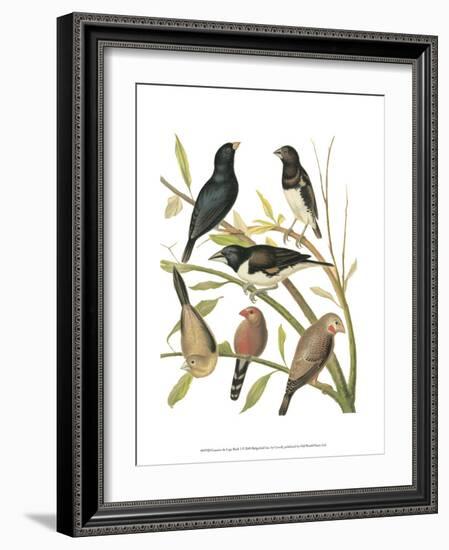 Canaries and Cage Birds I-Cassel-Framed Art Print