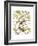 Canaries and Cage Birds II-Cassel-Framed Art Print