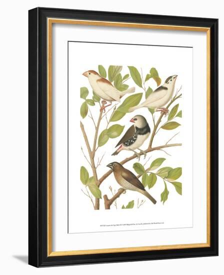 Canaries and Cage Birds II-Cassel-Framed Art Print
