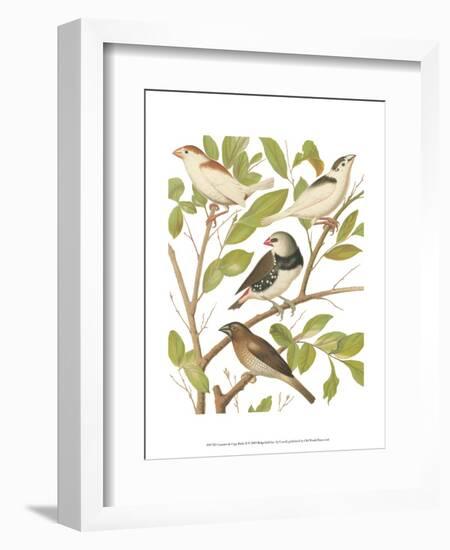 Canaries and Cage Birds II-Cassel-Framed Art Print