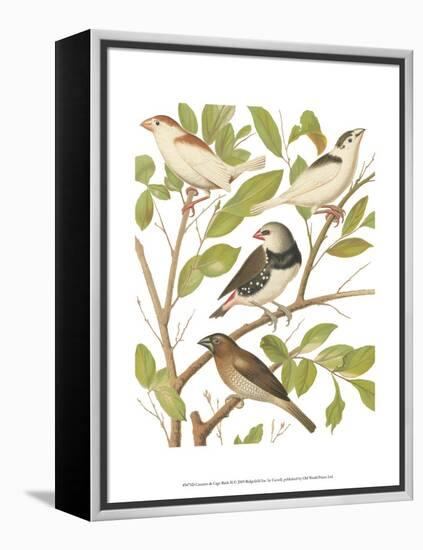 Canaries and Cage Birds II-Cassel-Framed Stretched Canvas