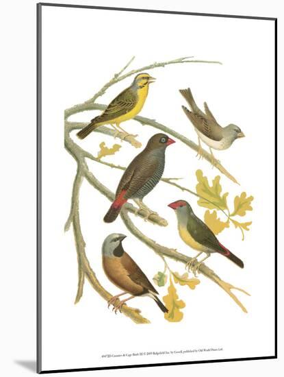 Canaries and Cage Birds III-Cassel-Mounted Art Print