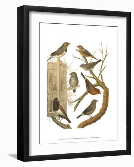 Canaries and Cage Birds IV-Cassel-Framed Art Print