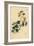 Canary Creeper, Indian Cress or Ciliated Tropaeolum, Tropaeolum Peregrinum-Sydenham Teast Edwards-Framed Giclee Print