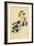 Canary Creeper, Indian Cress or Ciliated Tropaeolum, Tropaeolum Peregrinum-Sydenham Teast Edwards-Framed Giclee Print