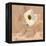 Canary Island Marguerite I-Jacob Green-Framed Stretched Canvas