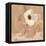 Canary Island Marguerite I-Jacob Green-Framed Stretched Canvas