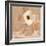 Canary Island Marguerite I-Jacob Green-Framed Art Print