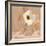 Canary Island Marguerite I-Jacob Green-Framed Art Print