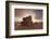 Canary Islands Juniper (Juniperus Cedrus) at Sunset, Spain-Markus Lange-Framed Photographic Print