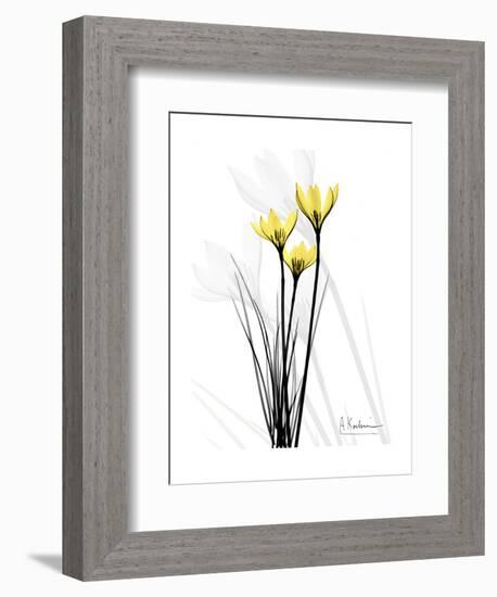 Canary Lily Portrait-Albert Koetsier-Framed Art Print