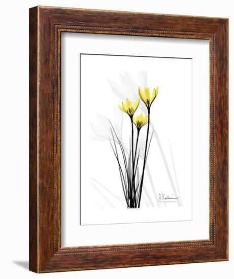 Canary Lily Portrait-Albert Koetsier-Framed Art Print