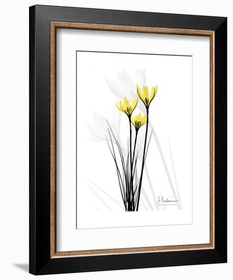 Canary Lily Portrait-Albert Koetsier-Framed Art Print