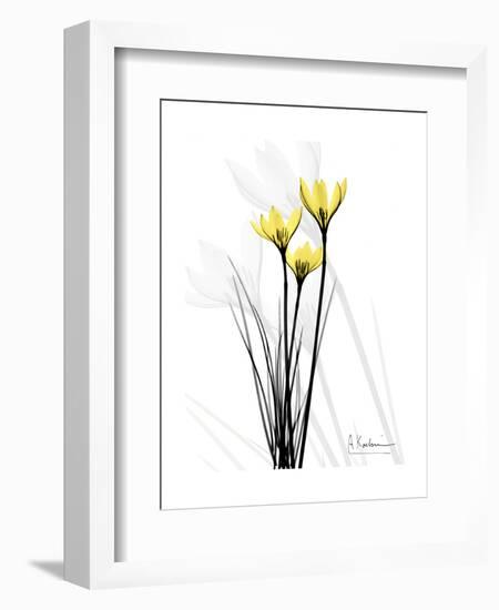 Canary Lily Portrait-Albert Koetsier-Framed Art Print