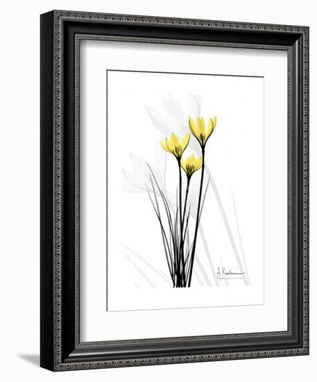 Canary Lily Portrait-Albert Koetsier-Framed Art Print