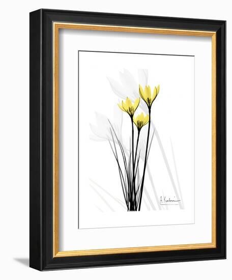 Canary Lily Portrait-Albert Koetsier-Framed Art Print