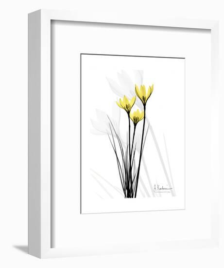 Canary Lily Portrait-Albert Koetsier-Framed Art Print