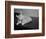 Canary Sitting on House Cat's Head-null-Framed Photographic Print