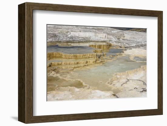 Canary Spring, Travertine Terraces, Mammoth Hot Springs, Yellowstone National Park, Wyoming, U.S.A.-Gary Cook-Framed Photographic Print