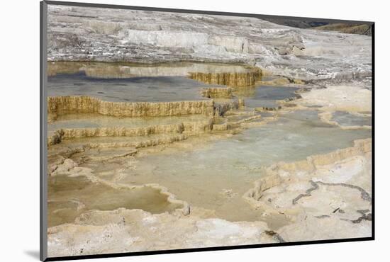 Canary Spring, Travertine Terraces, Mammoth Hot Springs, Yellowstone National Park, Wyoming, U.S.A.-Gary Cook-Mounted Photographic Print