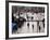 Canary Wharf, Docklands, London, England-Jon Arnold-Framed Photographic Print