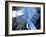 Canary Wharf, London-Craig Roberts-Framed Photographic Print