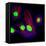 Cancer Cell Division-Dr. Paul Andrews-Framed Premier Image Canvas