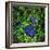 Cancer Cells, Light Micrograph-Science Photo Library-Framed Premium Photographic Print