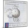 Cancer, Miniature from De Astronomia, by Hyginus, Ms, Aldini 490, F 88 V. Italy, 15th Century-null-Mounted Giclee Print