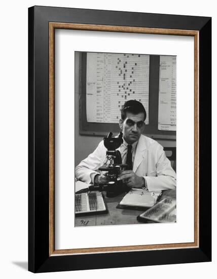 Cancer Specialist Dr. Ernest L. Wynder at Microscope in His Office, 1957-Alfred Eisenstaedt-Framed Photographic Print