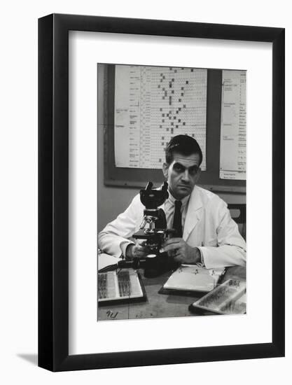 Cancer Specialist Dr. Ernest L. Wynder at Microscope in His Office, 1957-Alfred Eisenstaedt-Framed Photographic Print