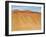 Candelabro de Paracas Geoglyph, Paracas National Reserve, Ica Region, Peru, South America-Karol Kozlowski-Framed Photographic Print