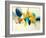 Candid Color-Sarah Stockstill-Framed Art Print