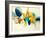 Candid Color-Sarah Stockstill-Framed Art Print