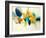 Candid Color-Sarah Stockstill-Framed Art Print