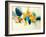 Candid Color-Sarah Stockstill-Framed Art Print