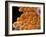 Candida Albicans Yeast Cells, SEM-Steve Gschmeissner-Framed Photographic Print