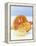 Candied Citrus Fruit Slices-Armin Zogbaum-Framed Premier Image Canvas