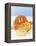 Candied Citrus Fruit Slices-Armin Zogbaum-Framed Premier Image Canvas