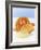 Candied Citrus Fruit Slices-Armin Zogbaum-Framed Photographic Print