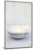 Candle Bowl with Orchid Blossom-Andrea Haase-Mounted Photographic Print