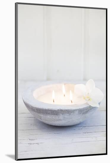 Candle Bowl with Orchid Blossom-Andrea Haase-Mounted Photographic Print