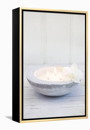 Candle Bowl with Orchid Blossom-Andrea Haase-Framed Premier Image Canvas