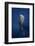 Candle Sperm Whale-Barathieu Gabriel-Framed Photographic Print