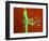 Candle Splat-Alan Sailer-Framed Photographic Print