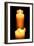 Candles in the Darkness-null-Framed Photo