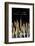 Candles, Lourdes, Hautes Pyrenees, France-Godong-Framed Photographic Print