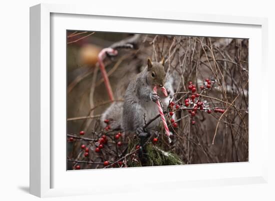 Candy And Squirrel-Andre Villeneuve-Framed Photographic Print