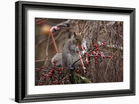 Candy And Squirrel-Andre Villeneuve-Framed Photographic Print