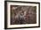 Candy And Squirrel-Andre Villeneuve-Framed Photographic Print